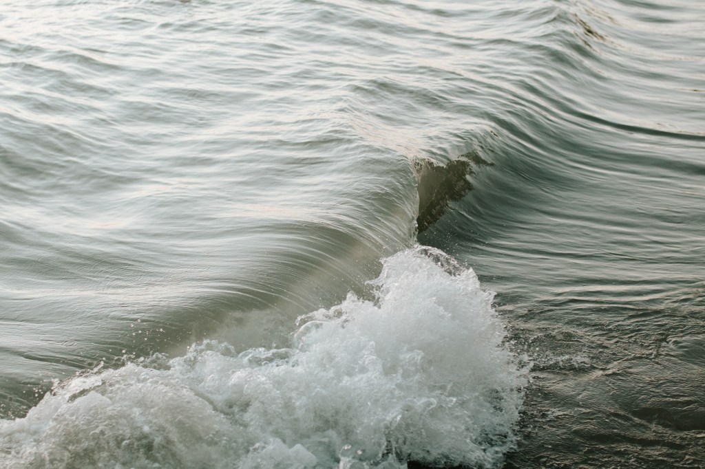 Waves and Breakers: My Story with Mental&nbsp;Illness